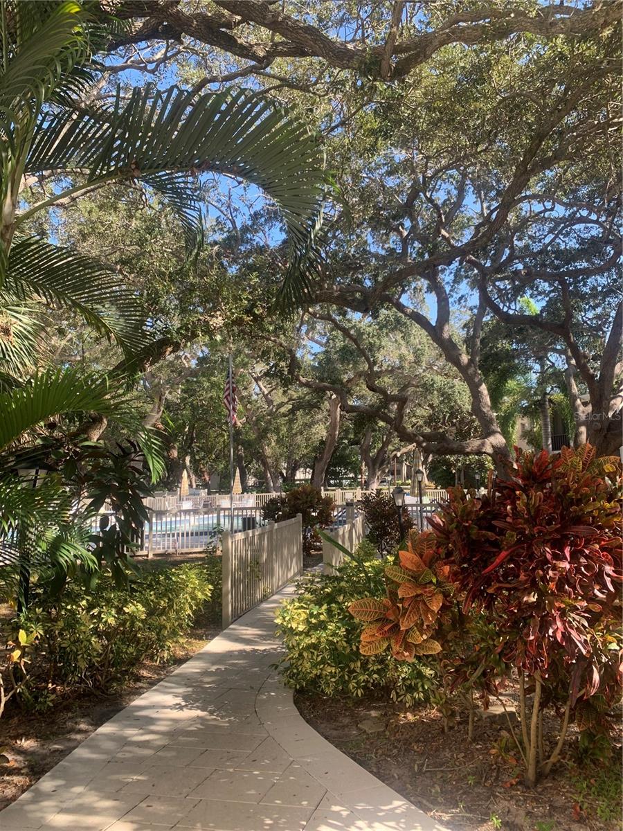 PATRICIAN OAKS - Residential