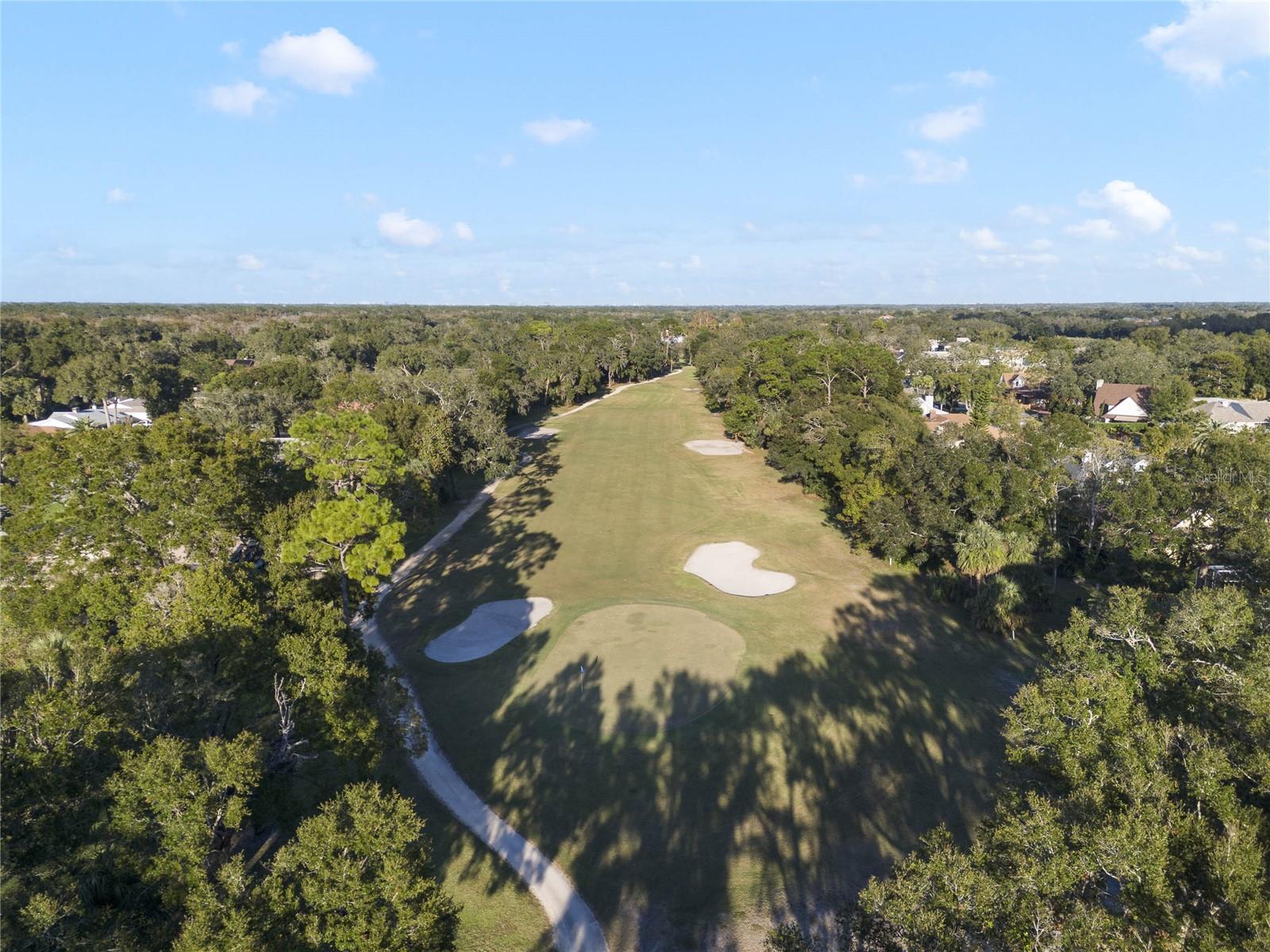 WEDGEWOOD AT SPRUCE CREEK - Residential