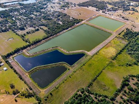 14103 672 HIGHWAY WIMAUMA FL 33598