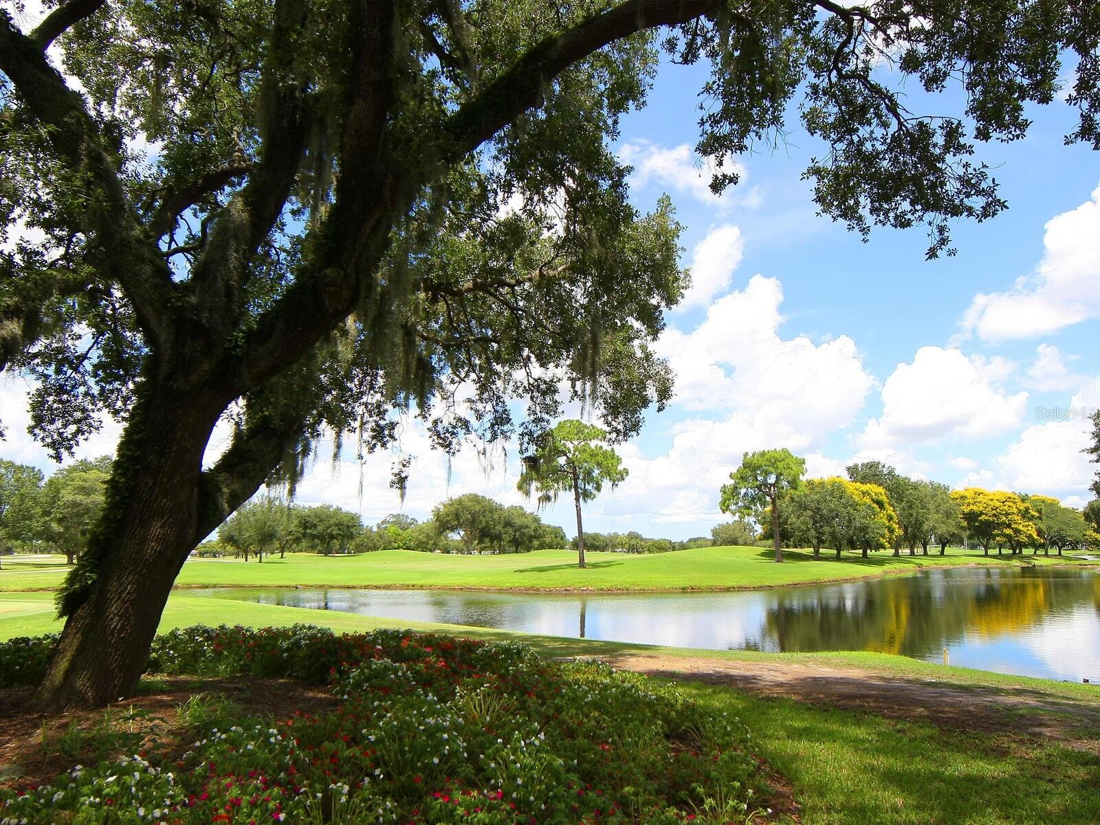 CLUBSIDE AT PALM-AIRE I & II - Residential