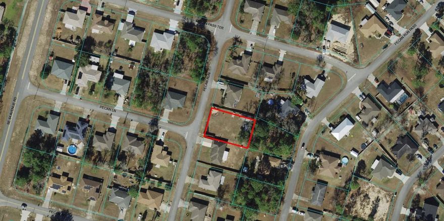WONDERFUL FLAT LOT THAT IS ALMOST CLEARED COMPLETELY.   HIGH AND DRY, PAVED STREETS, POWER POLES, PREMIUM LOT IN SILVER SPRINGS SHORES.   THIS IS IN THE PRIME SPOT TO BUILD A NEW HOME WITH ALL THE NEWER HOMES IN AREA.   VERY LITTLE PREP NEEDED FOR THIS LOT.   WORTH EVERY PENNY.