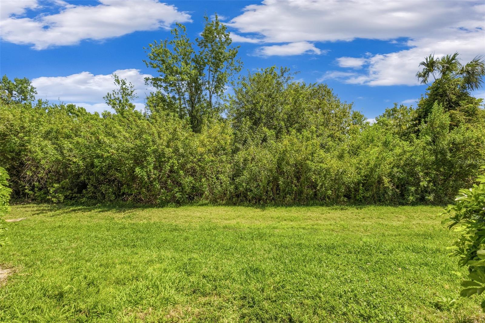 SERENADE ON PALMER RANCH - Residential