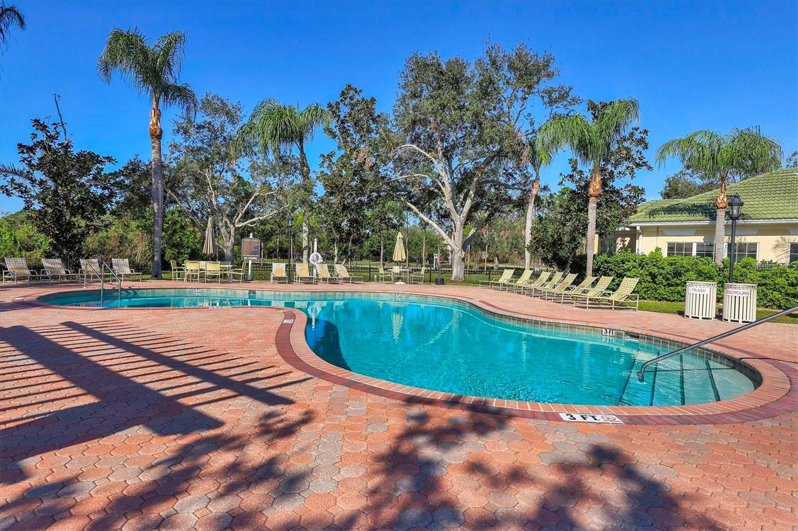 SERENADE ON PALMER RANCH - Residential