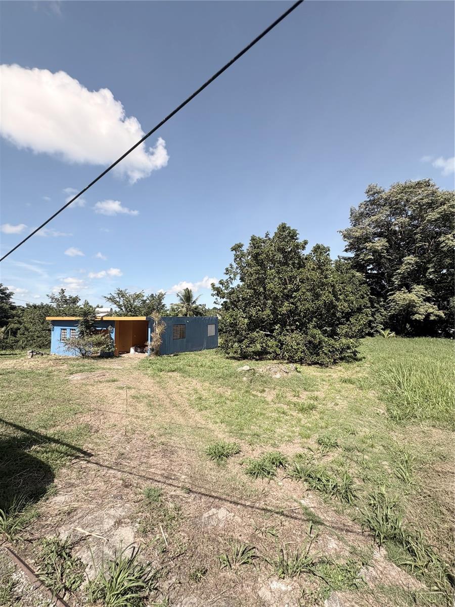 TORTUGO WARD - Residential