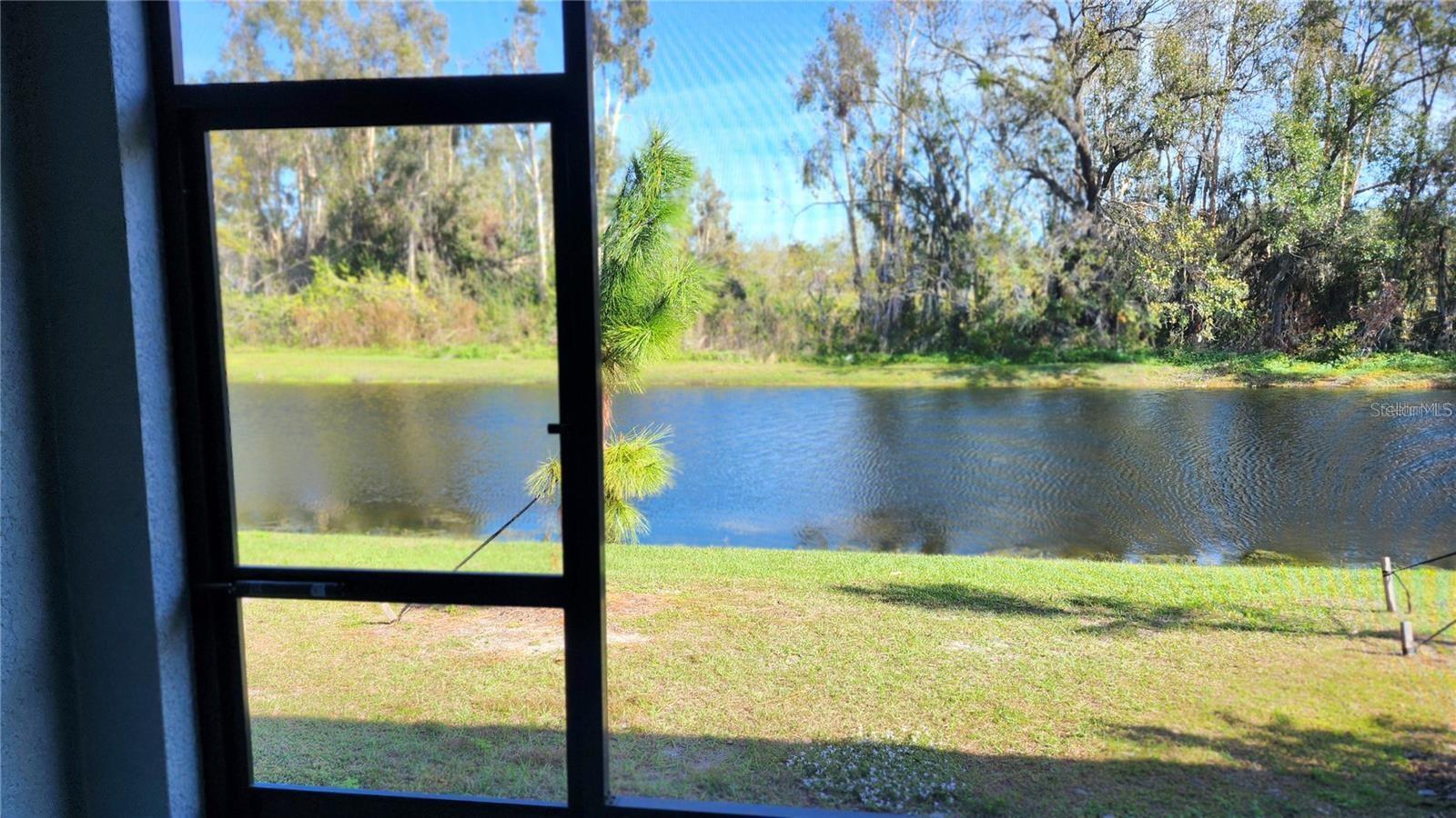 TOWNES/LK THOMAS PH 1 - Residential Lease