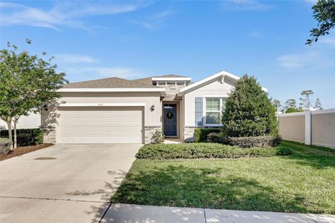 11925 CROSS VINE DRIVE RIVERVIEW FL 33579