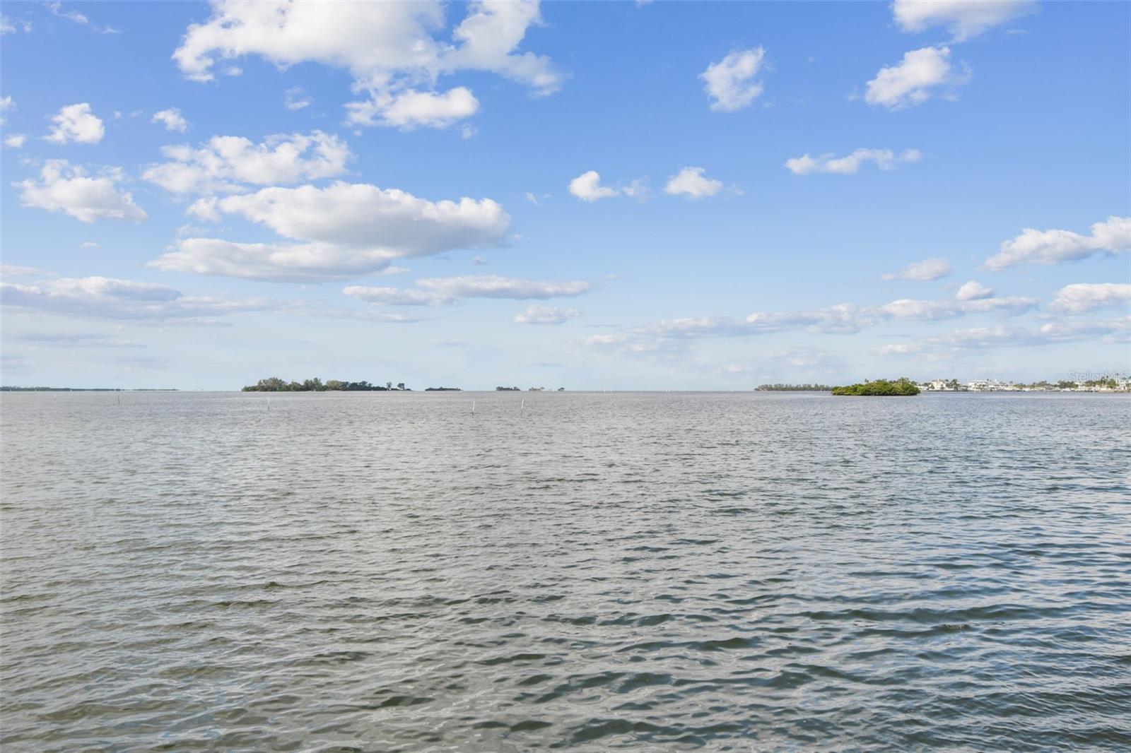 DOLPHIN POINTE OF DUNEDIN CONDO - Residential