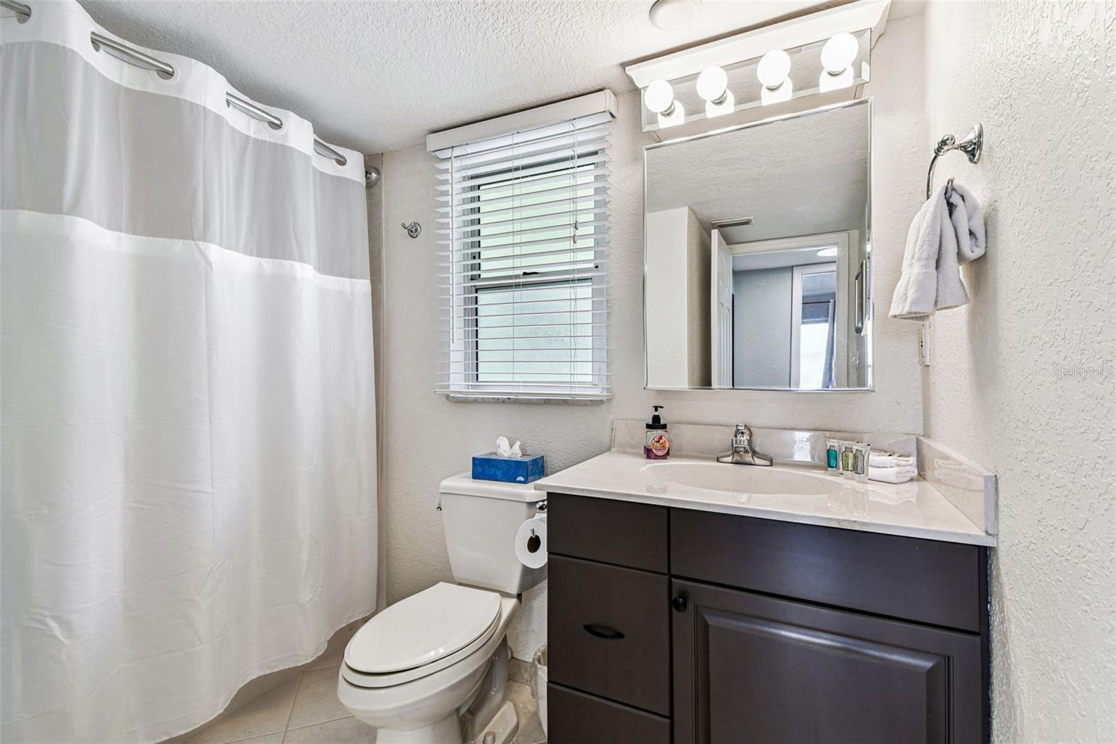 DOLPHIN POINTE OF DUNEDIN CONDO - Residential