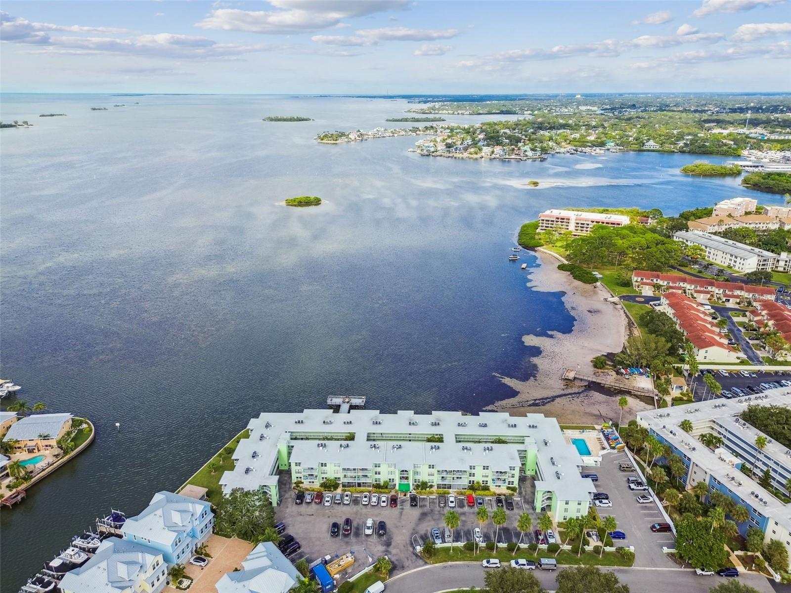 DOLPHIN POINTE OF DUNEDIN CONDO - Residential