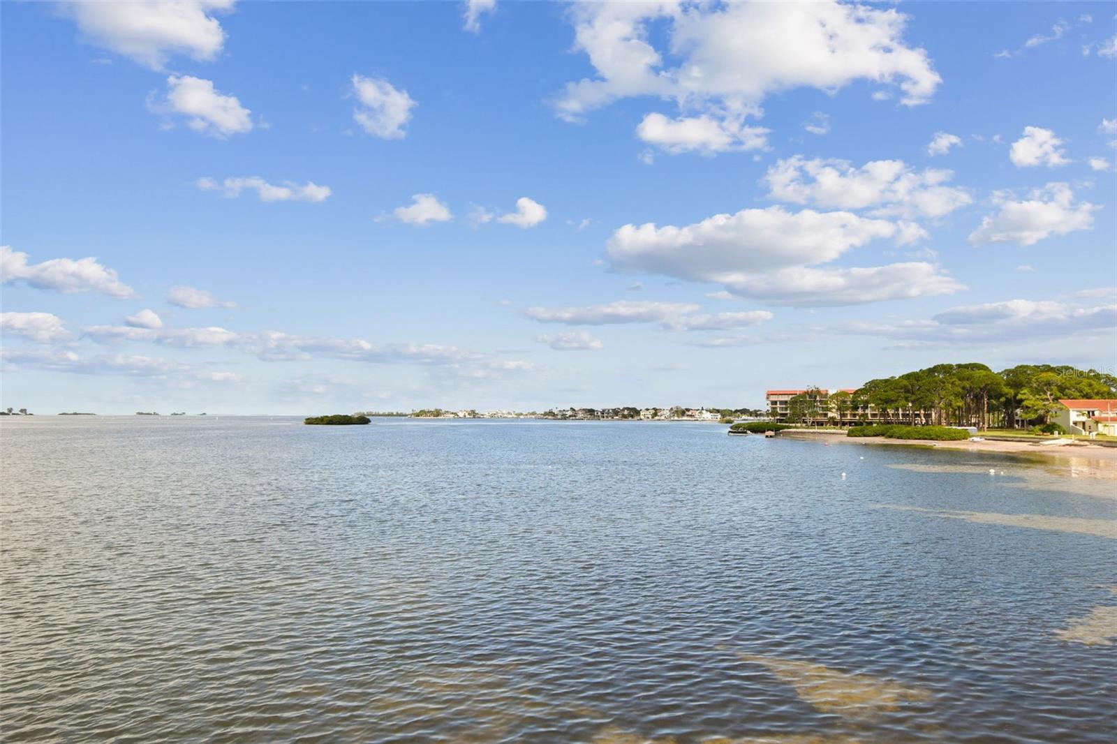 DOLPHIN POINTE OF DUNEDIN CONDO - Residential