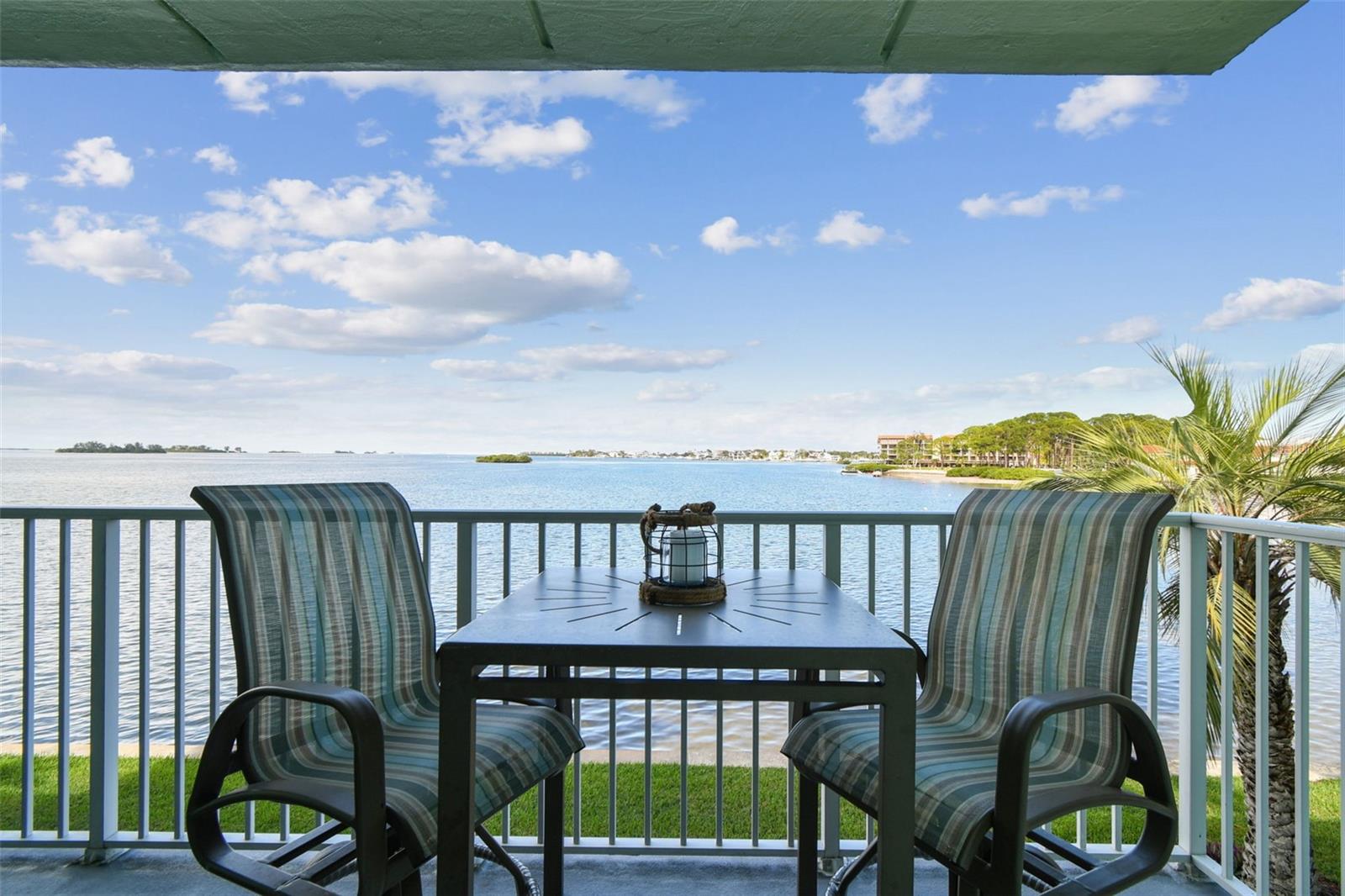 DOLPHIN POINTE OF DUNEDIN CONDO - Residential