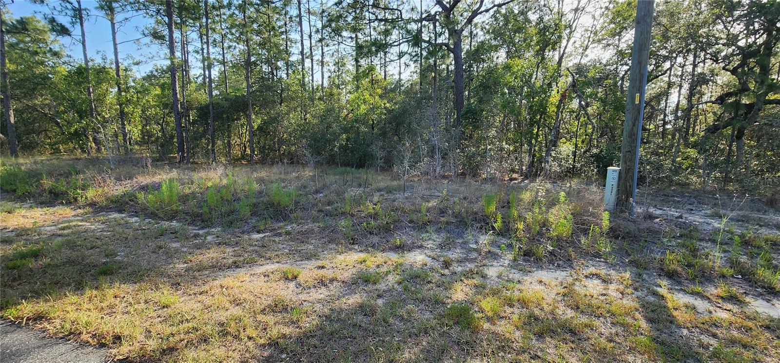 2.00 acre parcel located in the growing community of Rainbow Lakes Estates. Build your dream home now or later on this wooded parcel with No monthly HOA fees. Rainbow Lakes Estates is an all ages community. Enjoy the privacy and serenity of country style living in this neighborhood with boating and fishing on numerous lakes within the community. All paved streets. Lot will require a well and septic when building your new home. Zoned R-1 for site built homes only, no mobile homes are allowed here. The property is a short drive to the subdivisions Community Center with its own library, clubhouse, youth center, playground, basketball court, shuffleboard area, tennis court, gazebo, lake view deck and fishing pier. Two boat ramps are available on Lake Bonable and Tiger Lake for area residents. Conveniently located just minutes away from downtown Dunnellon and beautiful Rainbow Springs State Park for great outdoor activities like canoeing, kayaking, tubing, swimming, snorkeling and picnic areas. Centrally located to downtown Dunnellon, Ocala, Gainesville, Crystal River and the Gulf of Mexico. Make Rainbow Lakes Estates your new home destination today!!