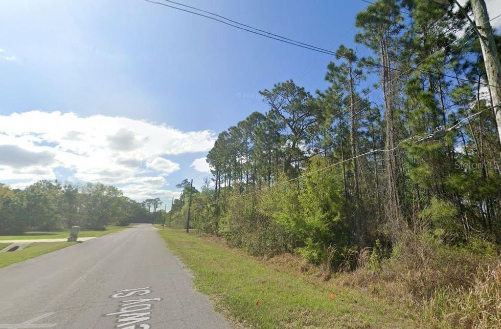 Photo of 20607 Newby Street, Orlando, FL 32833 (MLS # A4699645)