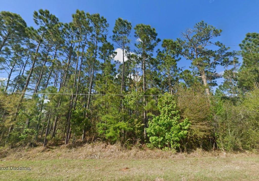 Photo of 20607 Newby Street, Orlando, FL 32833 (MLS # A4699645)