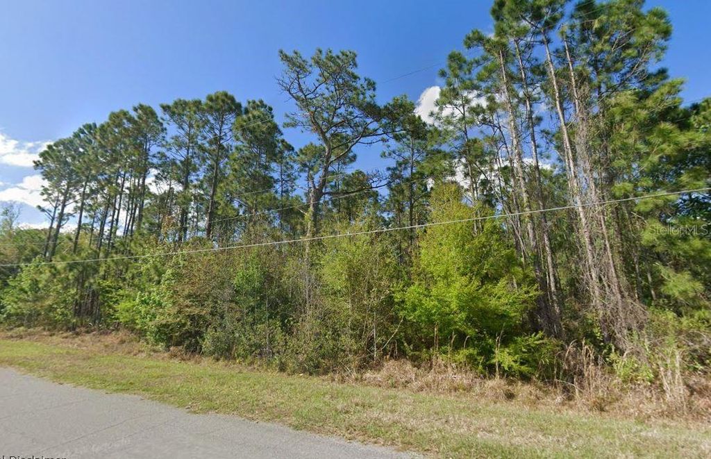 Photo of 20607 Newby Street, Orlando, FL 32833 (MLS # A4699645)