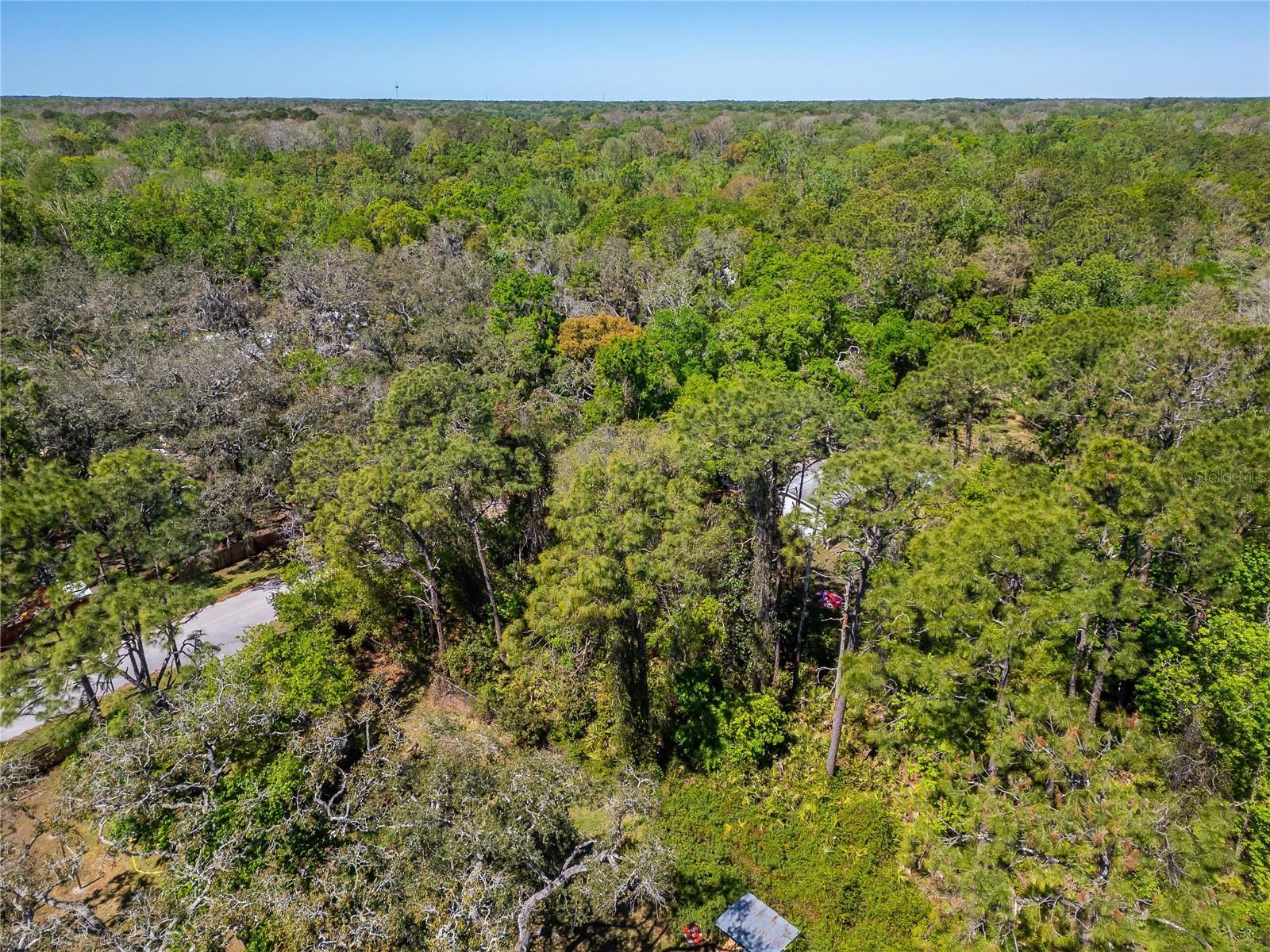 MOON LAKE ESTATES - Land