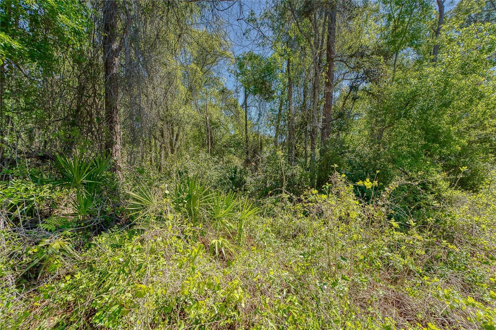 MOON LAKE ESTATES - Land
