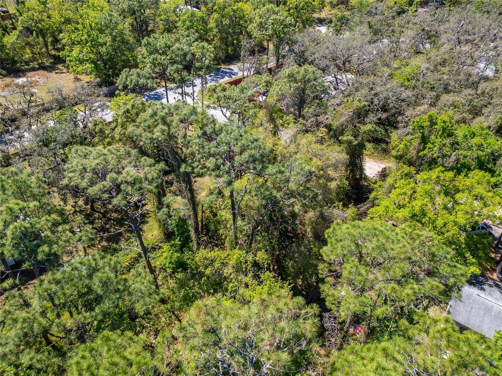 MOON LAKE ESTATES - Land