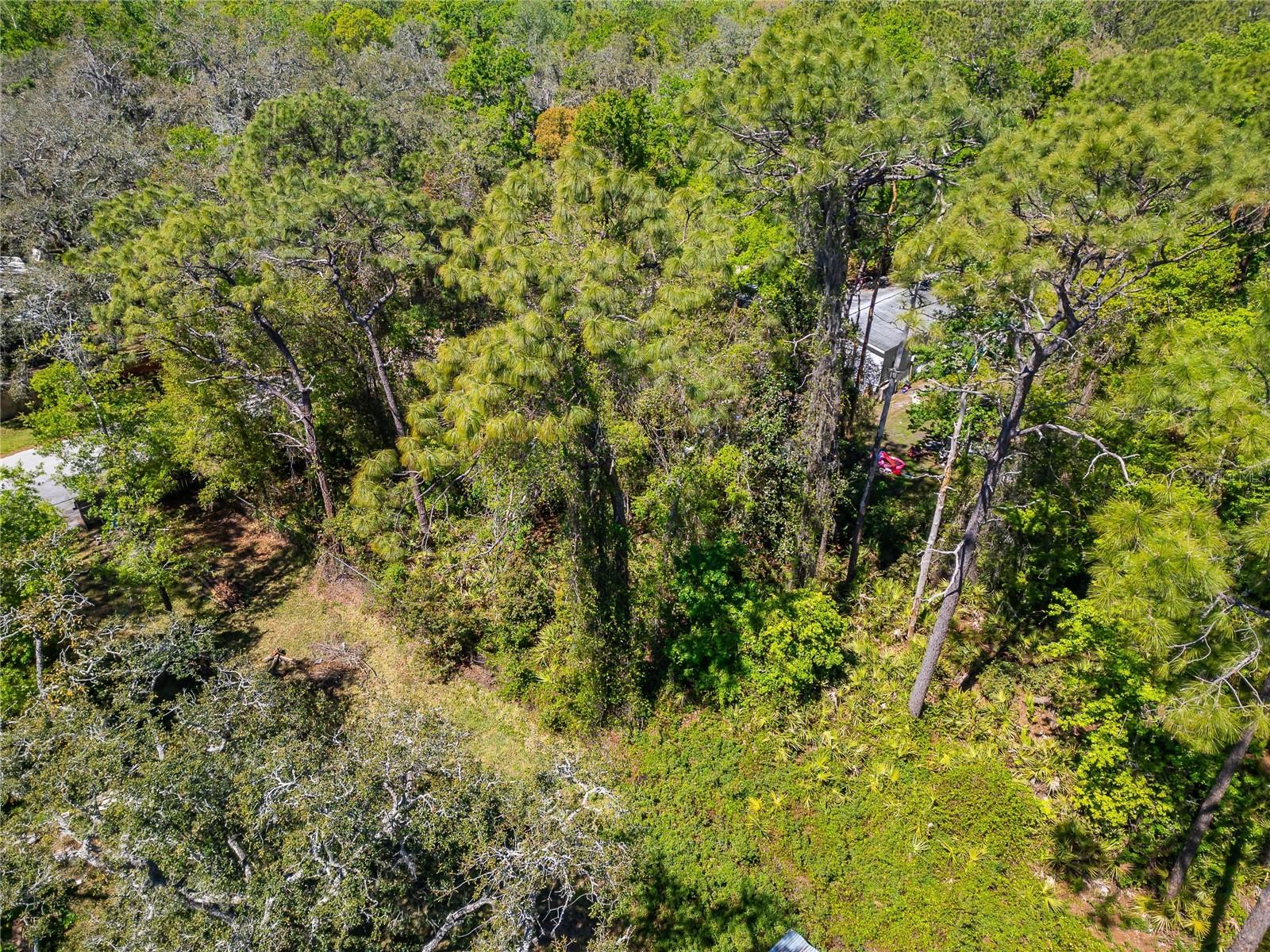 MOON LAKE ESTATES - Land