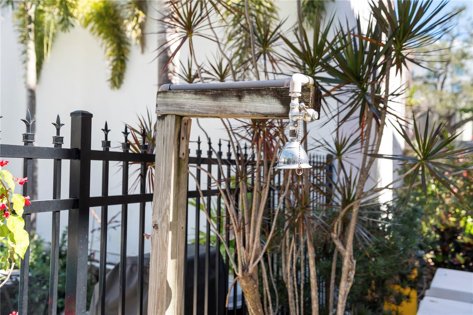 FRANCES CARLTON - Residential