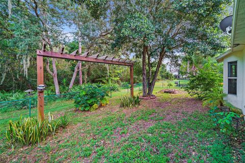 A home in LAND O LAKES