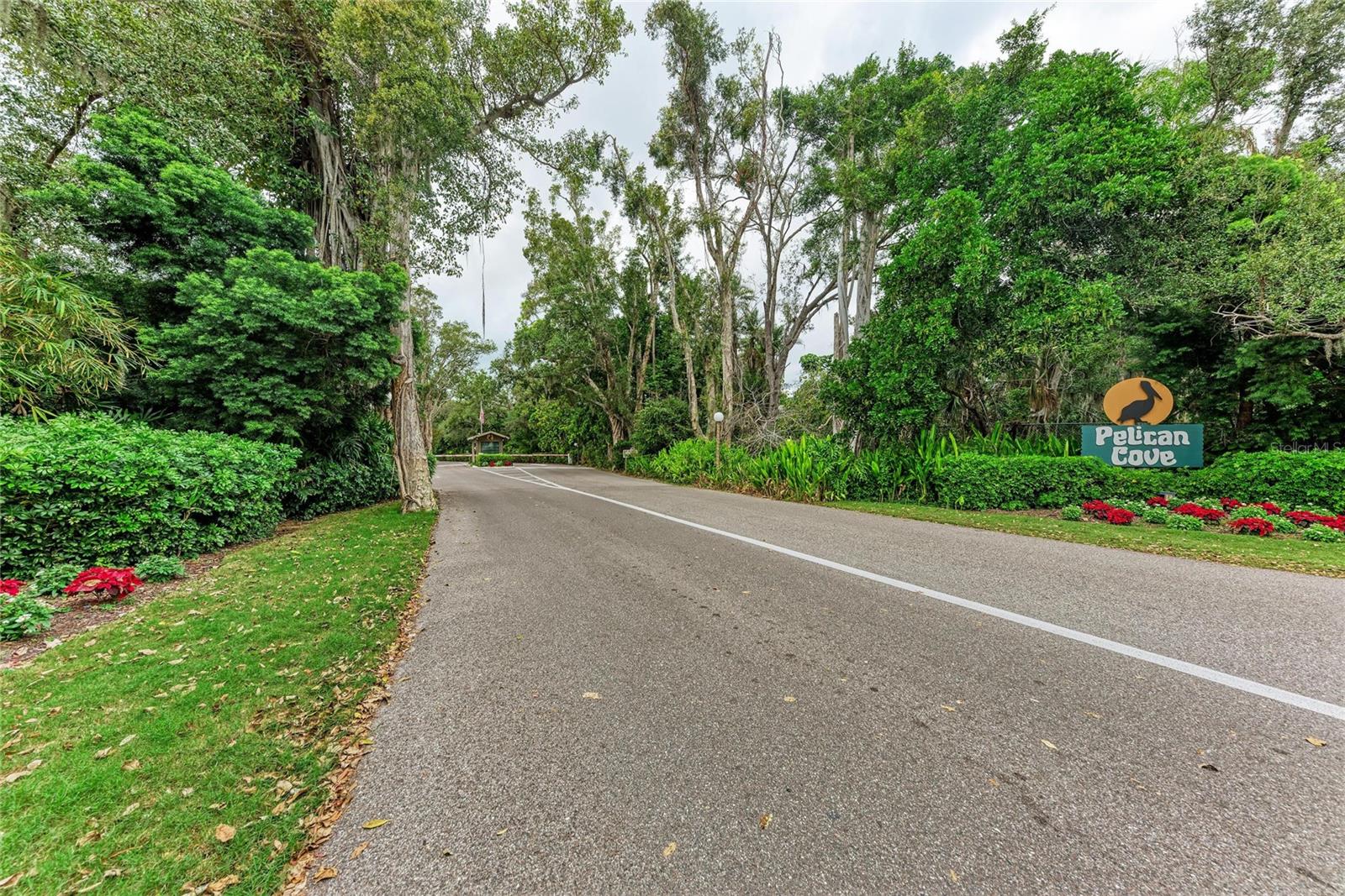 PELICAN COVE XVI - Residential