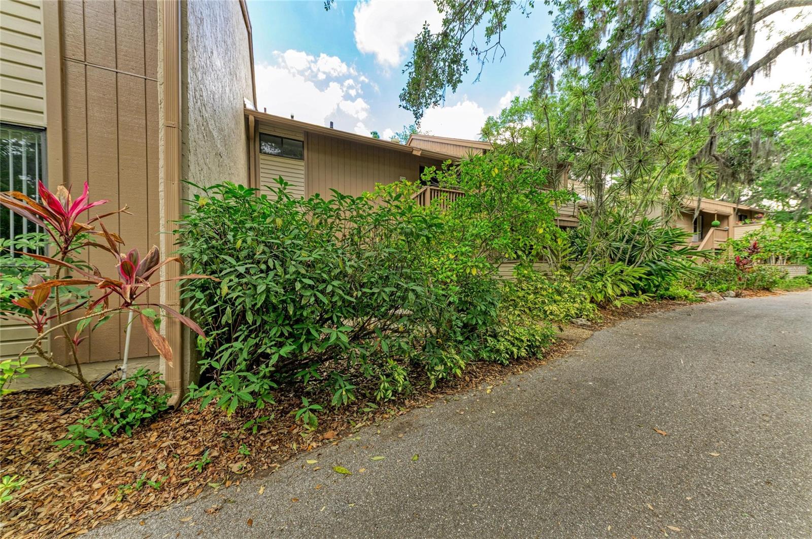 PELICAN COVE XVI - Residential