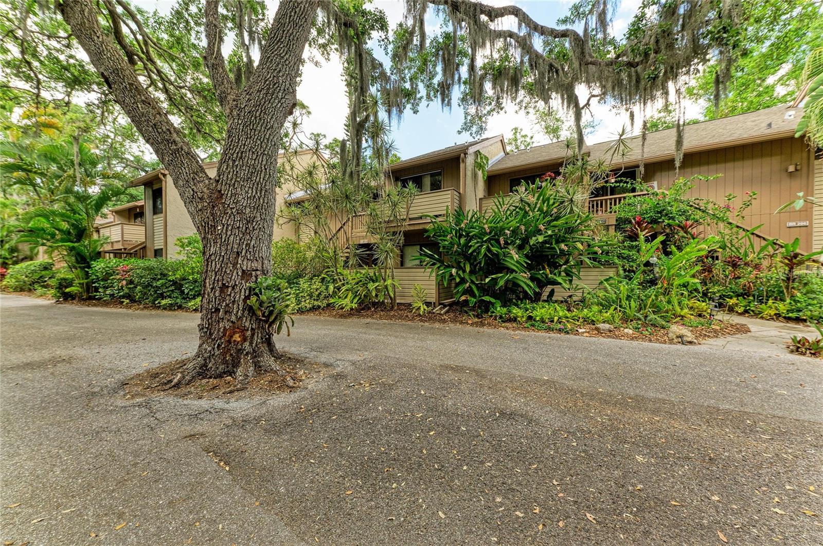 PELICAN COVE XVI - Residential