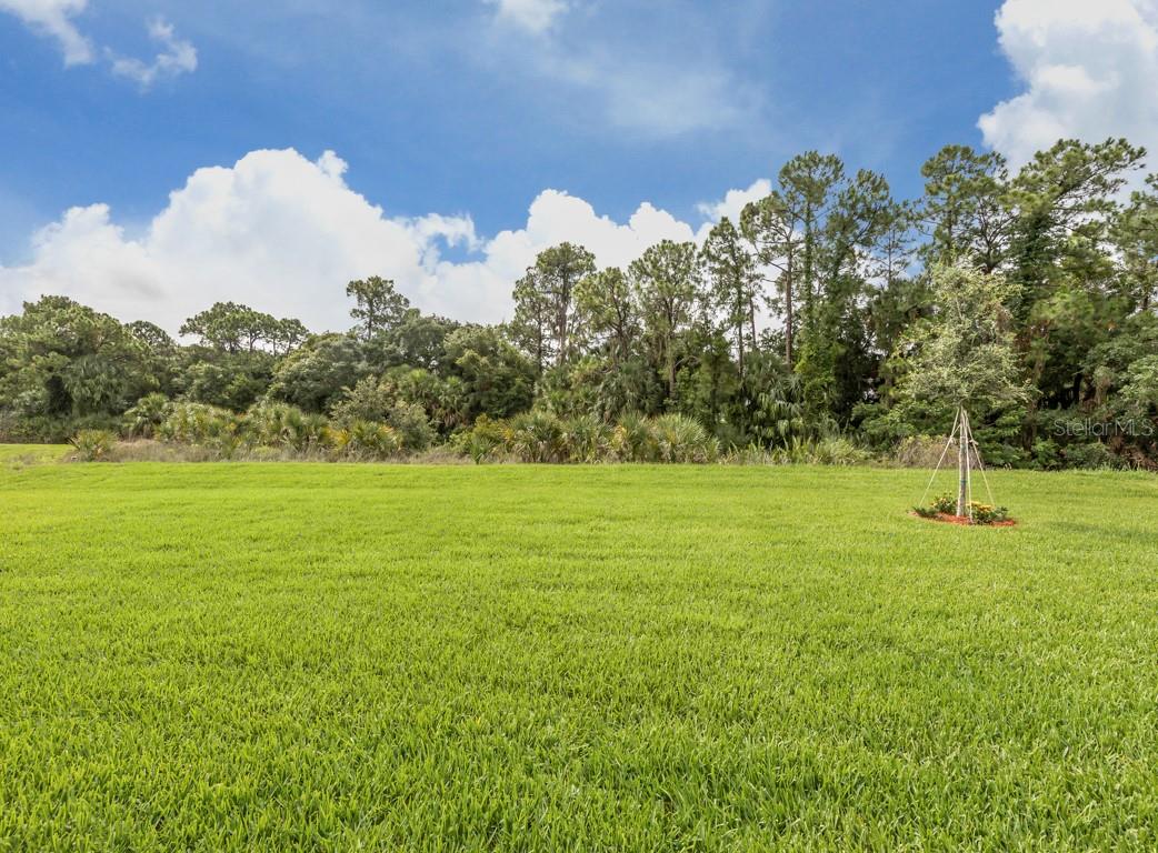 GRAN PARADISO - Residential Lease