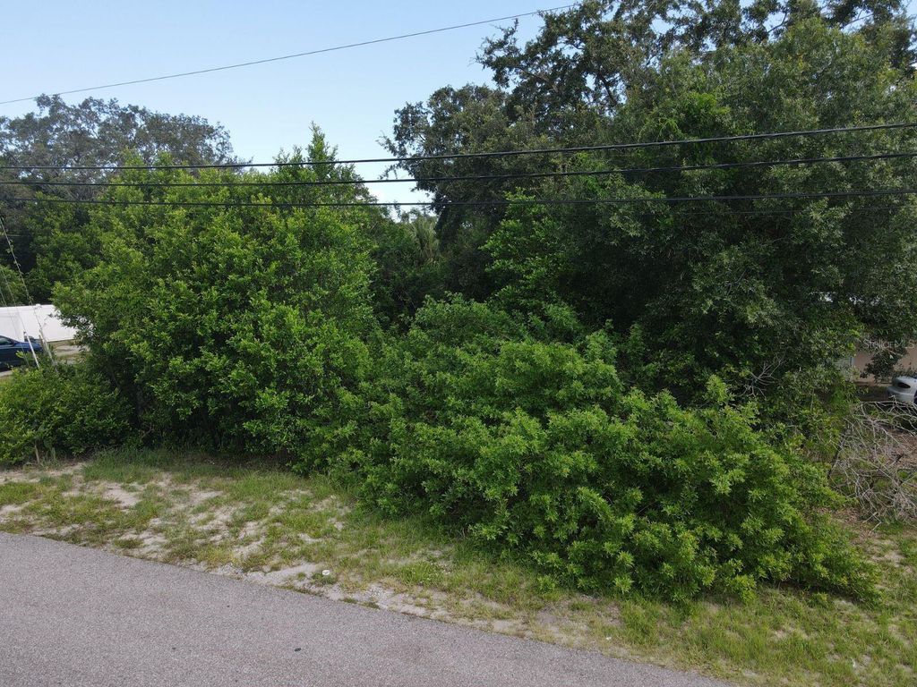 Photo of Berkley Avenue, Tarpon Springs, FL 34689 (MLS # W7881134)