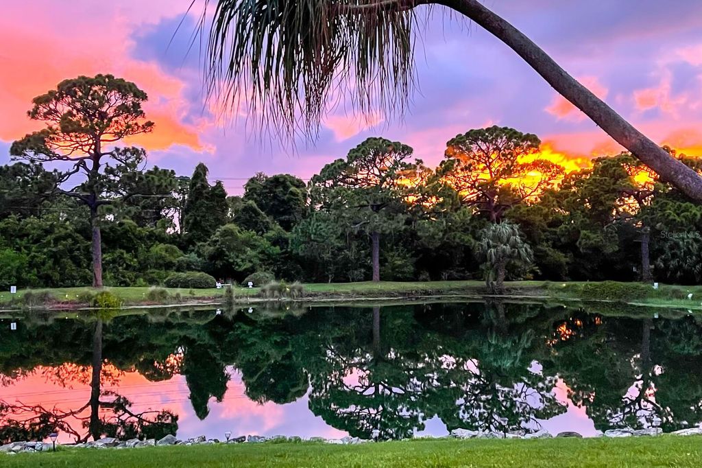 Photo of 8186 Terrace Garden Drive N #101, St Petersburg, FL 33709 (MLS # TB8417472)