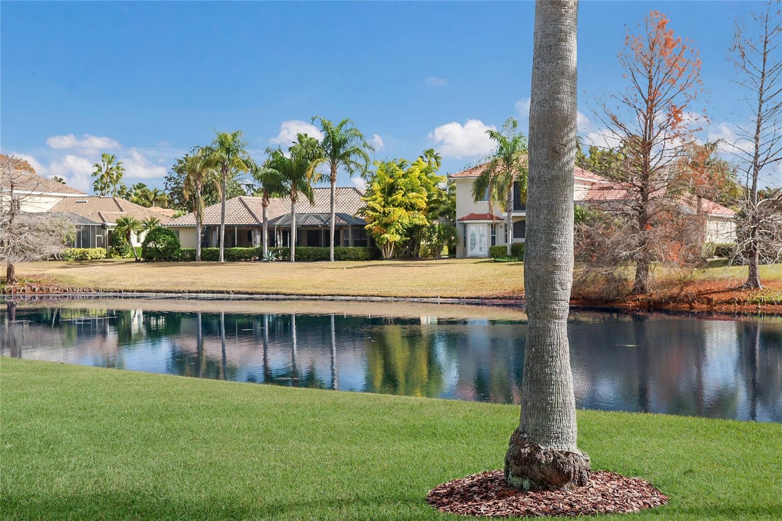 LAKEWOOD RANCH COUNTRY CLUB VILLAGE L,M,N&O - Residential