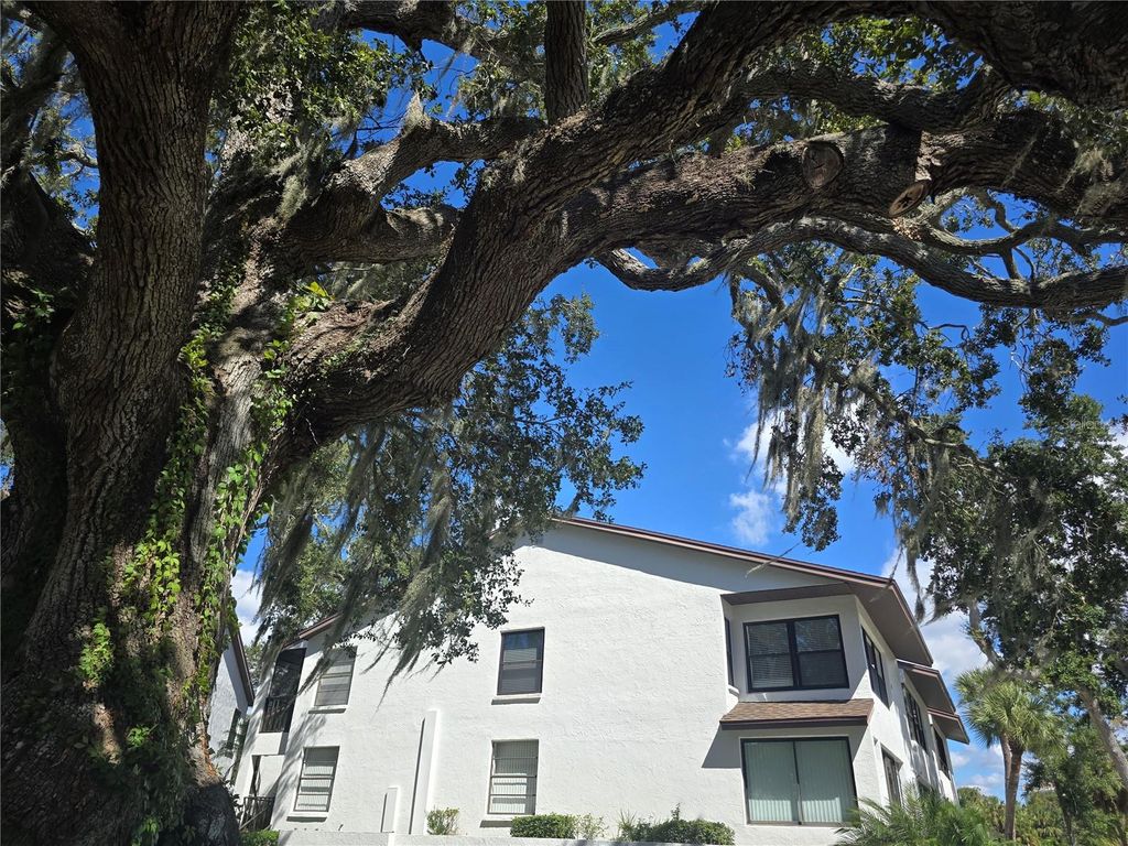 Photo of 411 S Bayshore Boulevard #1, Safety Harbor, FL 34695 (MLS # TB8437899)