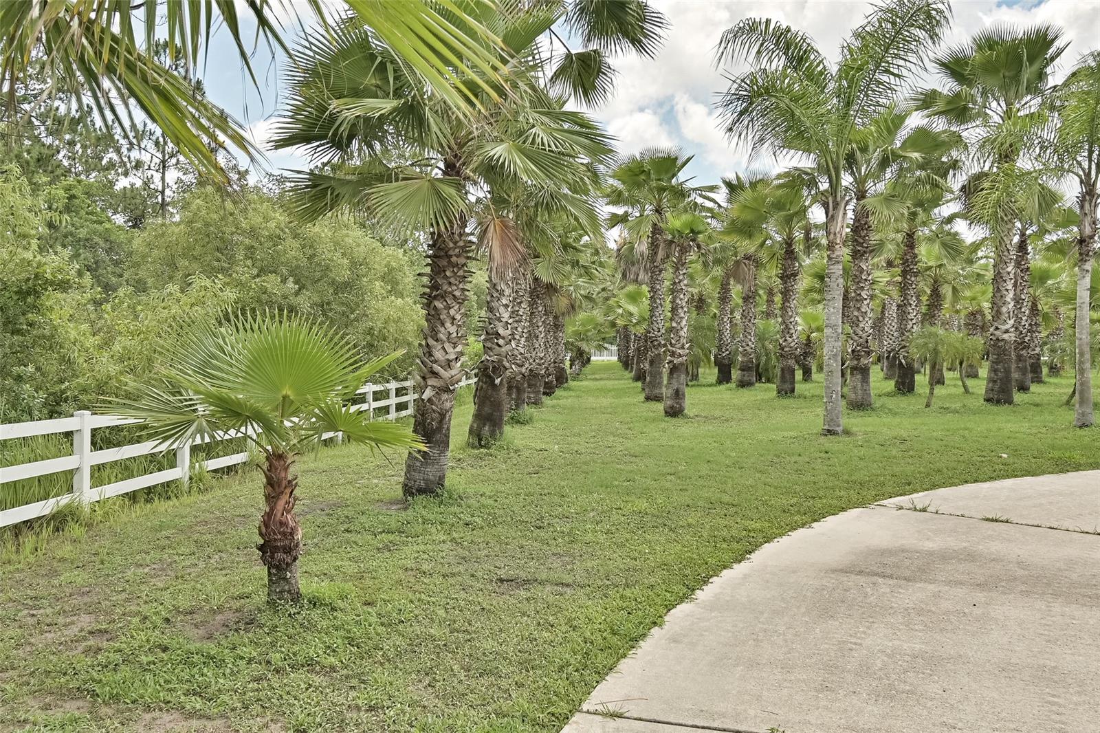 Woodland Acres Ph Ii 881 - Residential