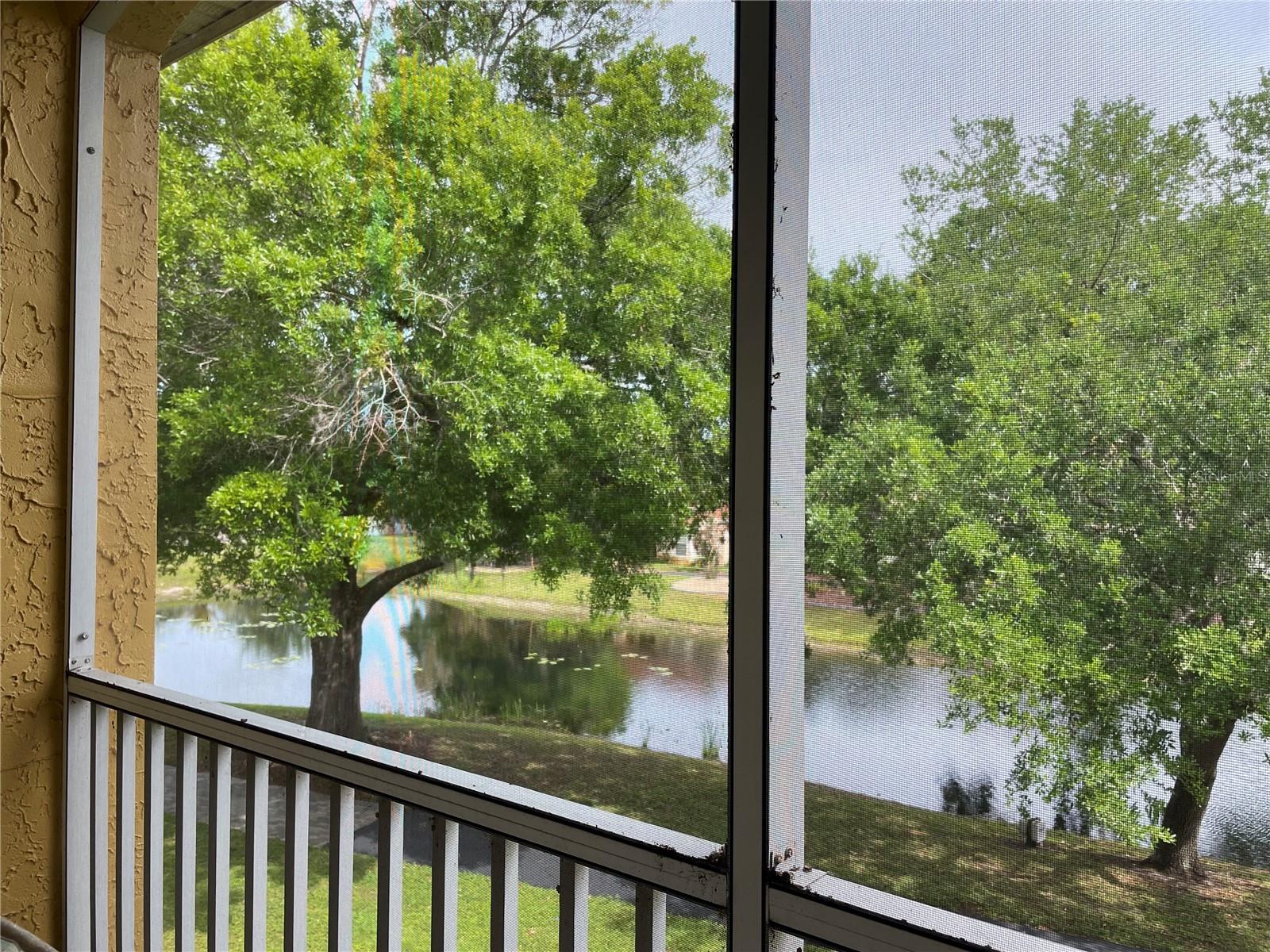 CALIENTE APTS CONDO - Residential