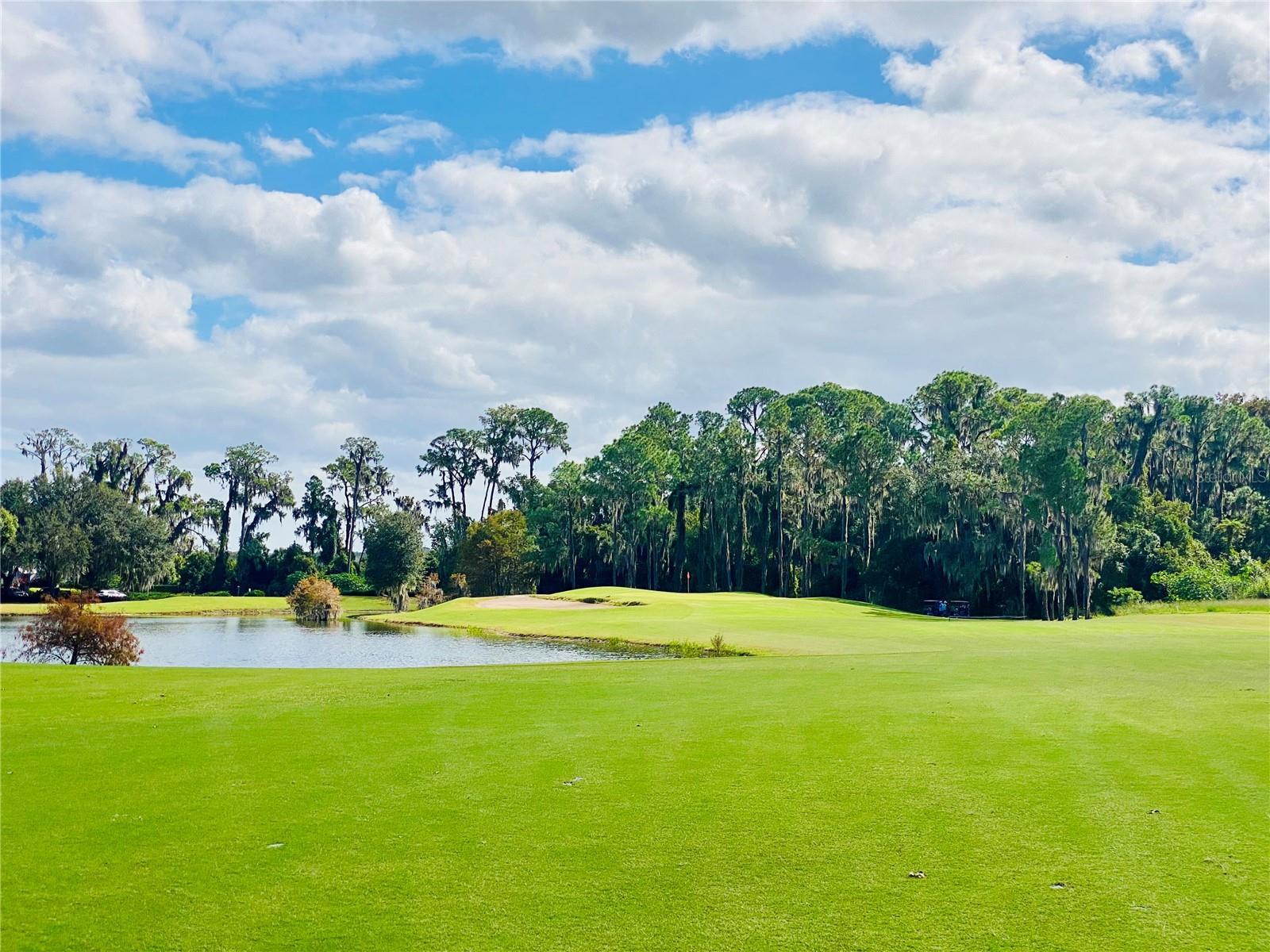 DEER ISLAND CLUB PT REP A TR C-1 - Residential