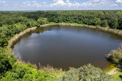 Tiny photo for 36329 N County Road 44a, Eustis, FL 32736 (MLS # G5106843)