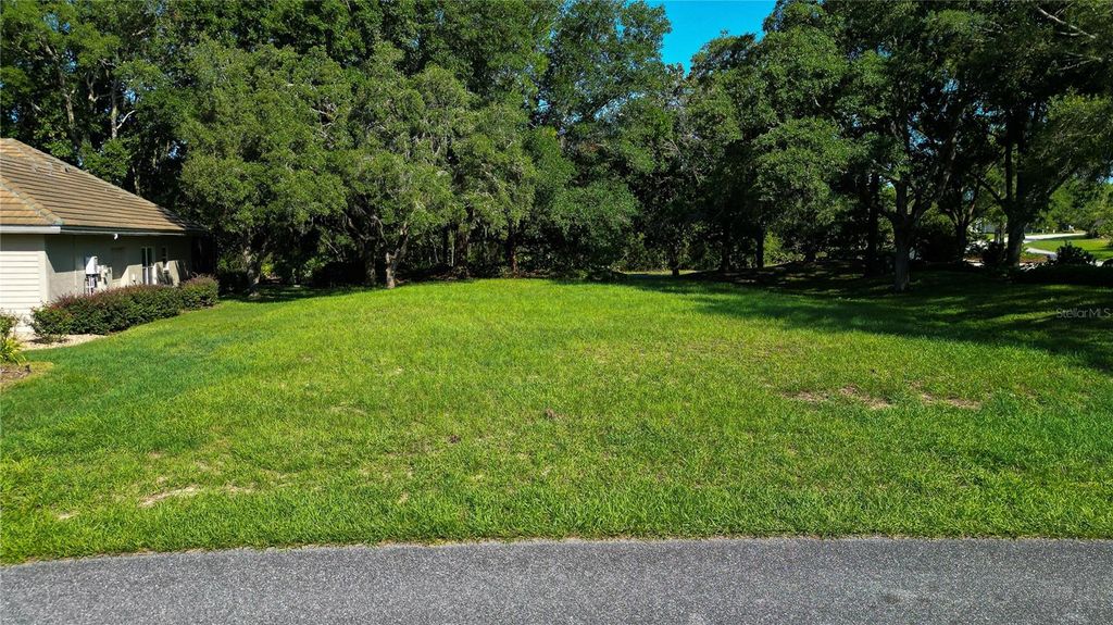 Photo of 3117 N Barton Creek Circle, Lecanto, FL 34461 (MLS # OM705546)