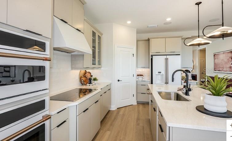 ESPLANADE AT SKYE RANCH - Residential