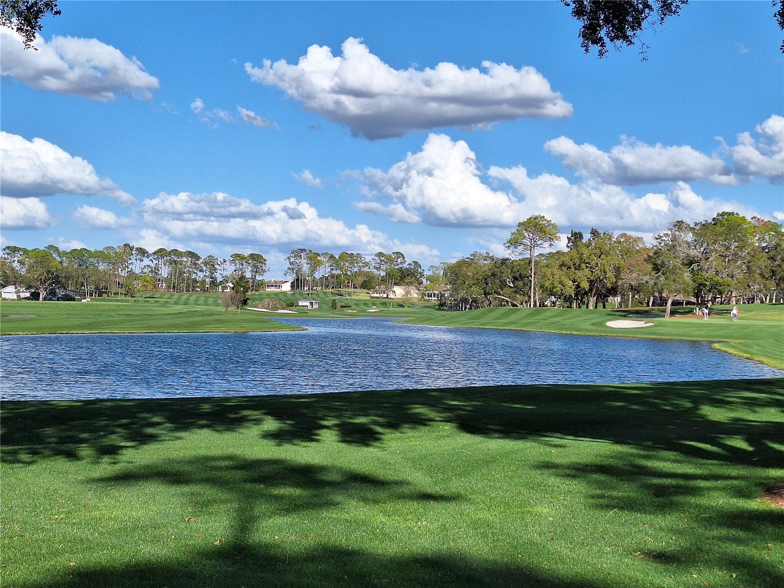 TIMBER PINES - Residential