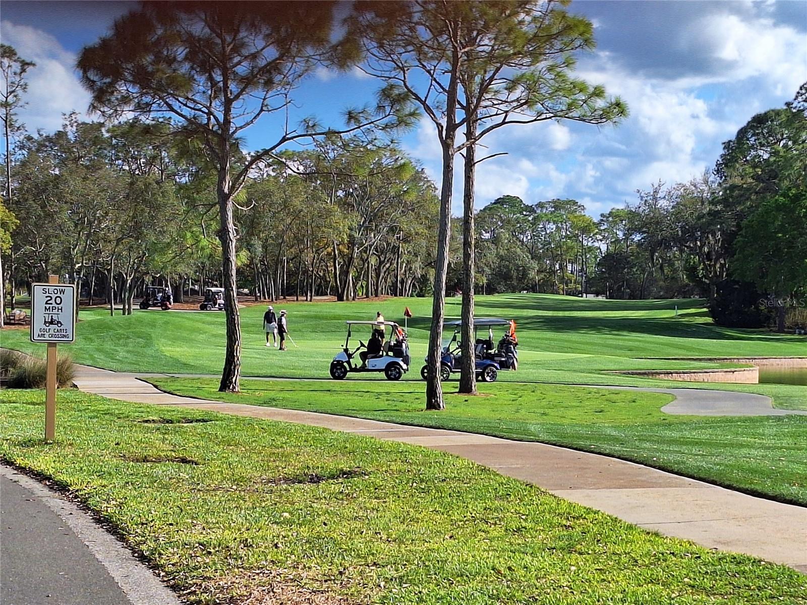 TIMBER PINES - Residential