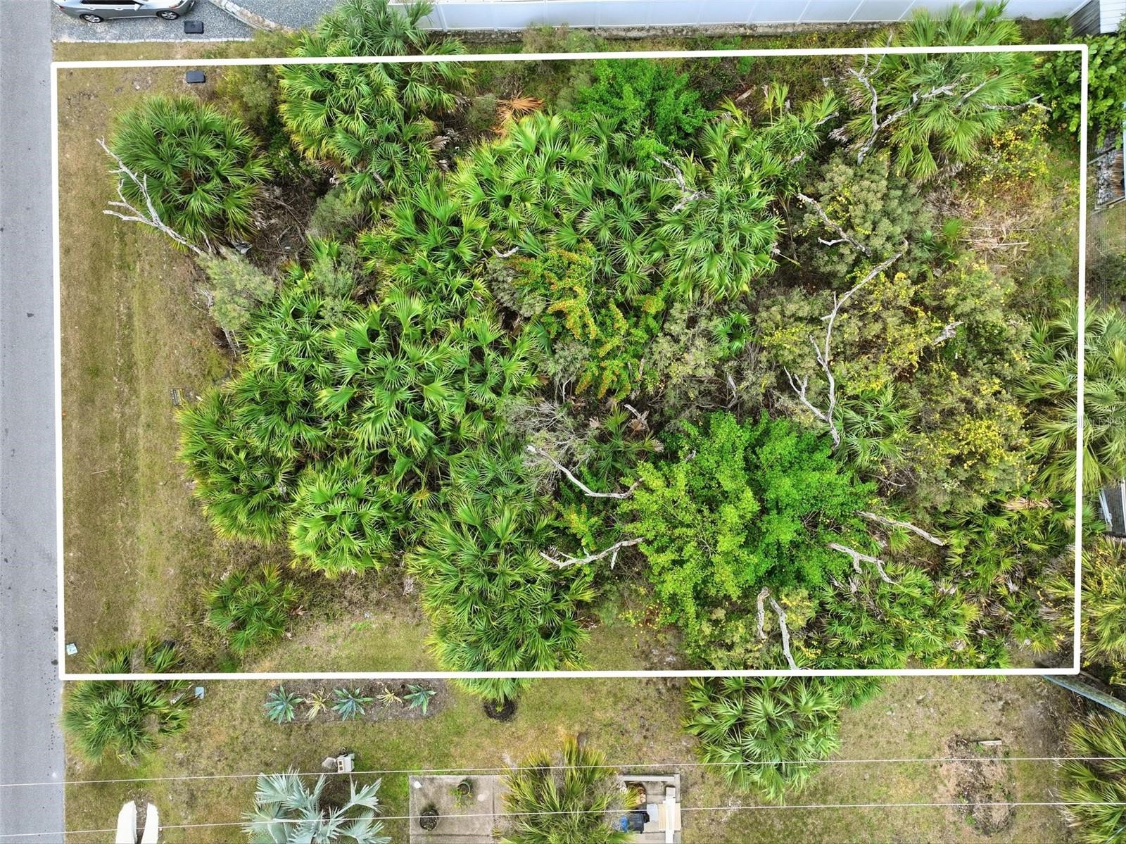 MARINELAND ACRES - Land