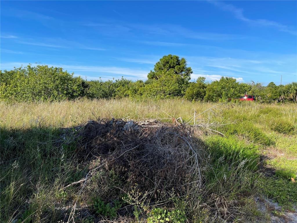 Photo 8 of 13 of 10642 RAINSVILLE STREET land