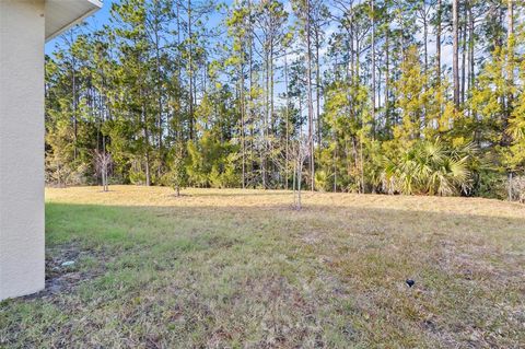 A home in PALM COAST