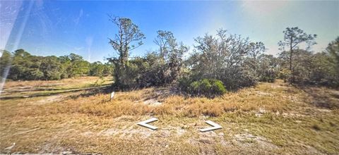 1331 CONGO DRIVE POINCIANA FL 34759