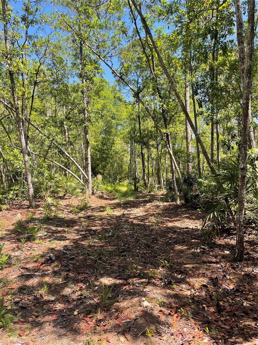 PLANTATION PINES UNREC 246 - Land