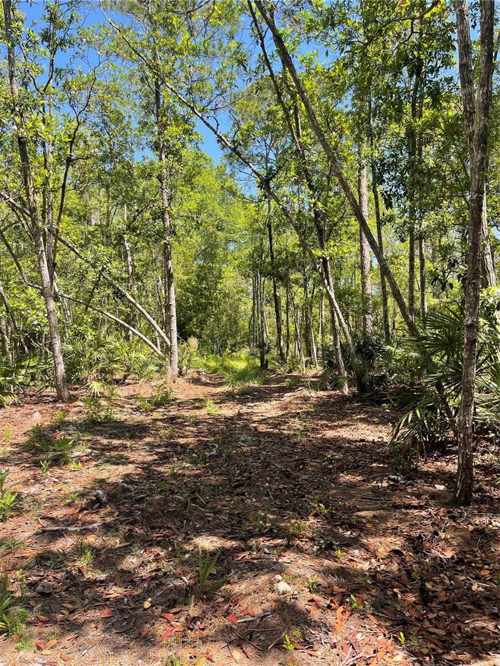 Photo of 3781 Pine Pitch Court, Ormond Beach, FL 32174 (MLS # FC315217)