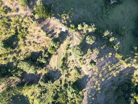 QUEBRADA LIMON CARR 520 KM 3.9 PONCE 00731