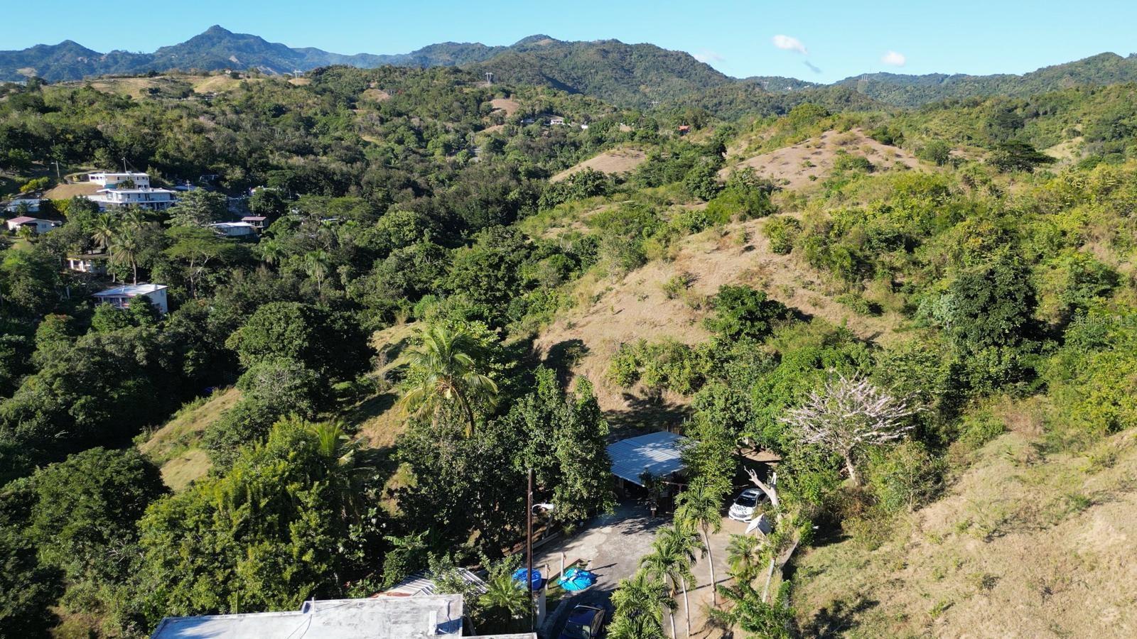 QUEBRADA LIMON CARR 520 KM 3.9