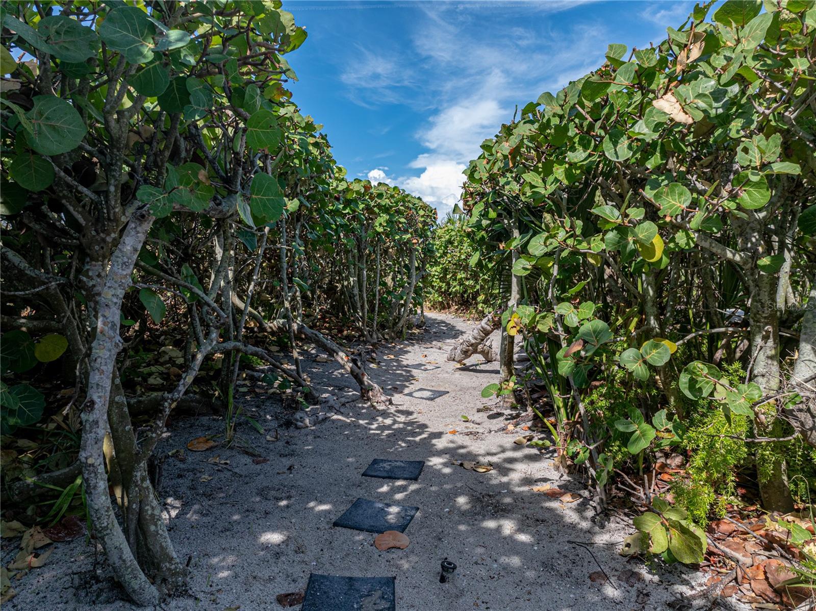 CONEY ISLAND 1ST ADD UNREC - Residential Lease